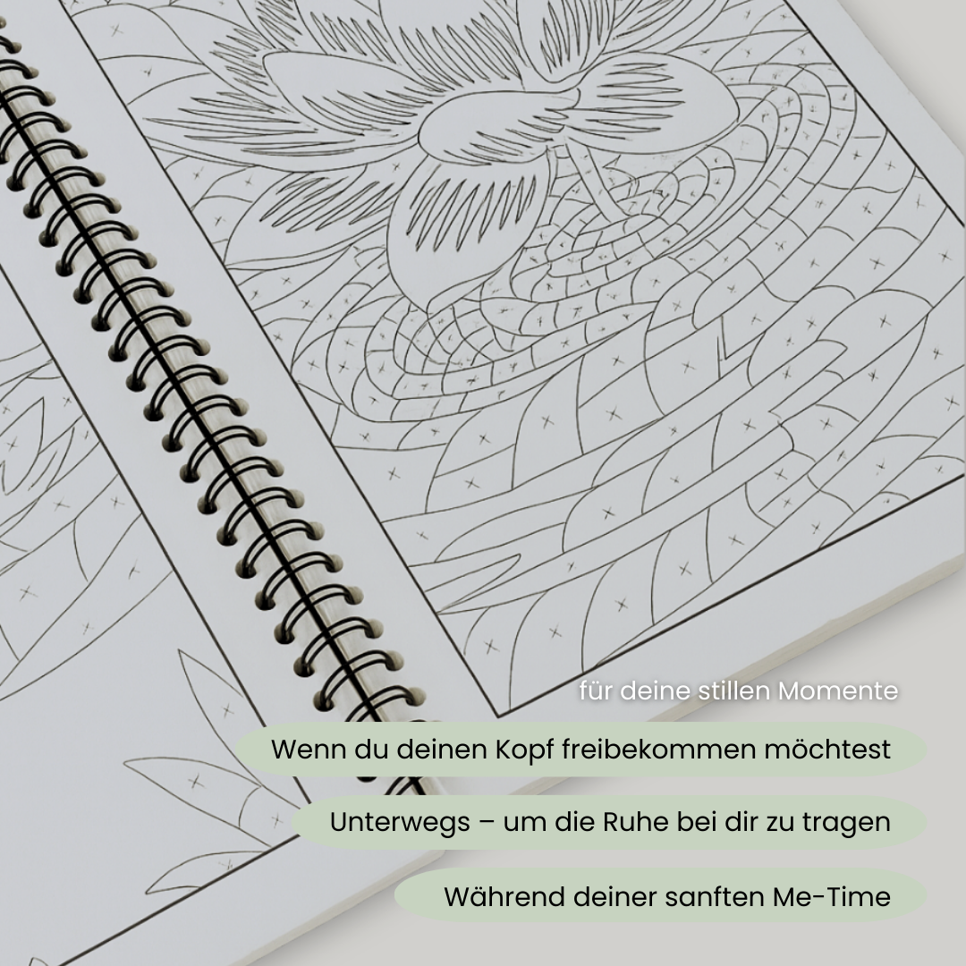 Mindful Moments Kit